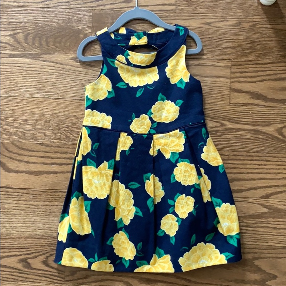 Beautiful Janie & Jack dress